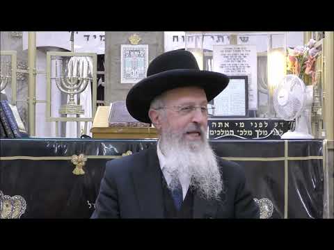 הגאון הרב אברהם יוסף שליט"א יש לספרדים מנהגים לענין ספר תורה בסימן רפב חלק א (הקדמה)