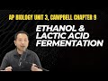 Understanding Anaerobic Respiration and Fermentation