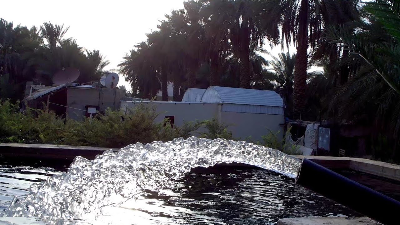 beautiful natural Saudi Arab 