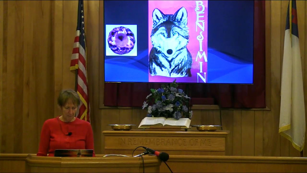 Sanctuary Study- Debbie Brummel