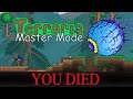 The Terraria Master Mode Experience