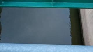 Schiffparty In Bernburg