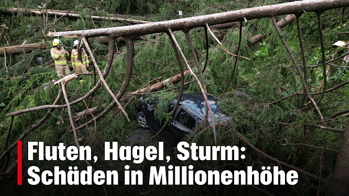 Fluten, Hagel, Sturm: Schäden in Millionenhöhe | krone.tv NEWS