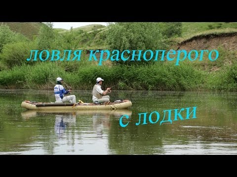 перспективные места для ловли голавля