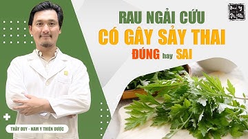 [Giải cứu Rau Ngải Cứu] RAU NGẢI CÚU có gây sảy thai? Ngải cứu không gây sảy thai ở phụ nữ mang thai