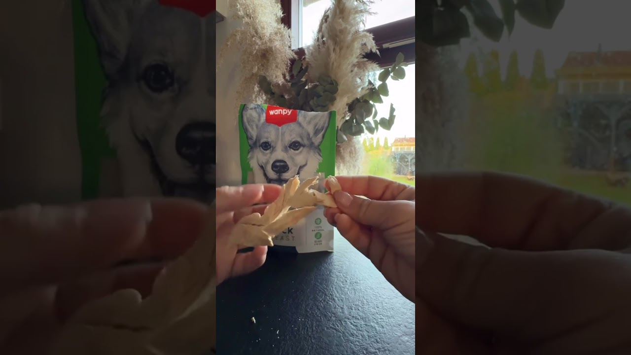 Wanpy Dog Freeze Dried Duck Breast 