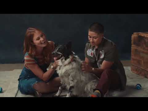 Petsmart | "Make A Friend"