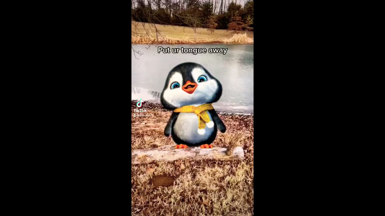 NOOO Putyourtongueaway Cutepenguin Adorableanimals