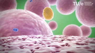 Nanoporous polymer particles made by suspension polymerization