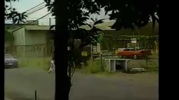 MiniMaxX & DJEJ - Macho (Ft. Education) [Official Music Video]