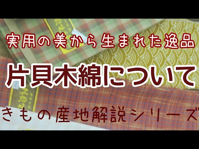 147 片貝木綿について【木綿きもの・小千谷・普段着・岡崎市】 - YouTube