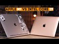 MacBook Air (M1) против всех! Я такого не ожидал...