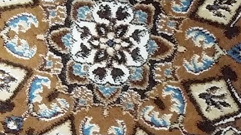 القارئ الشيخ  / محمود صابر صلاة العشاء 17رمضان1439