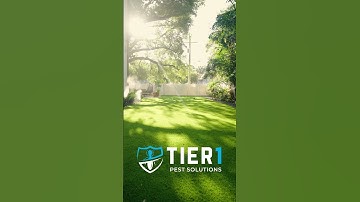 Mosquito Misting System