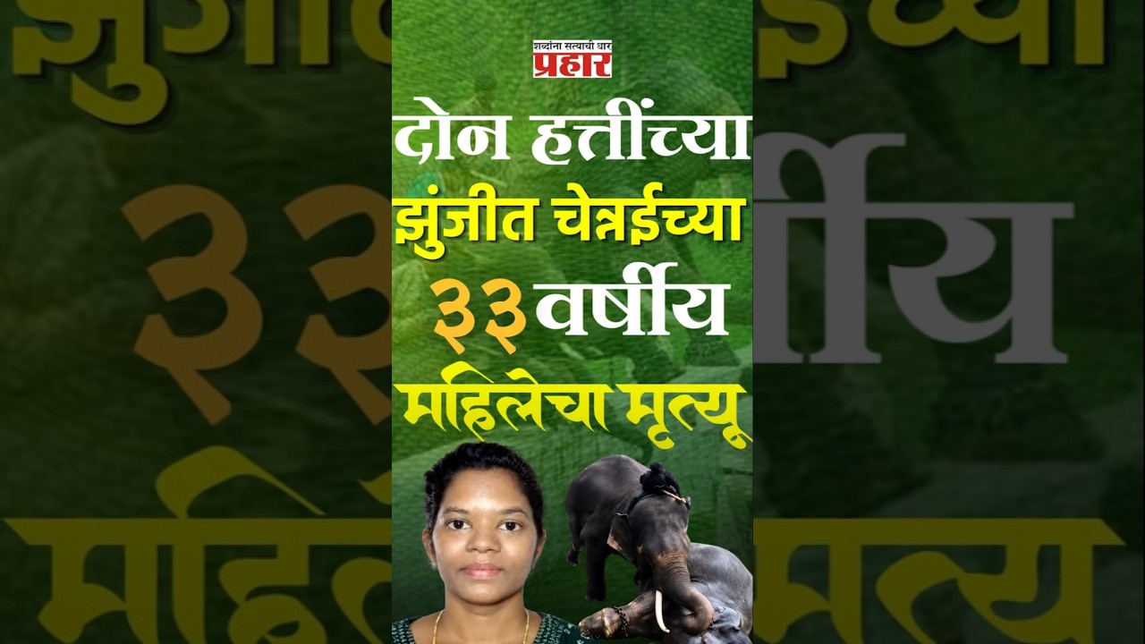 Dubare Elephant Camp | दोन हत्तींच्या झुंजीत चेन्नईच्या ३३ वर्षीय महिलेचा मृत्यू | prahaarnewsline