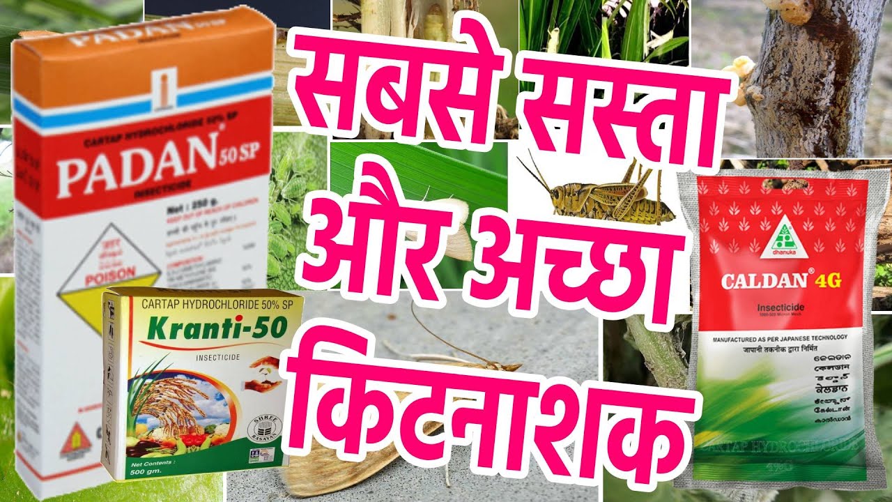 Padan Coromandal/Cartap Hydrochloride50%SP/Cristal Nidan/Caldan Dhanuka/