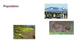 Slides 1-9 Ecosystems   chapter 2.1