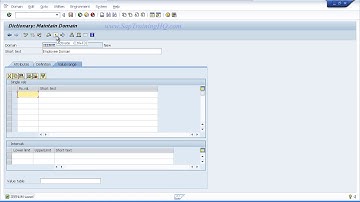 07 Beginners Guide   Learn SAP ABAP   Data Dictionary   Create A SAP Table Part 2