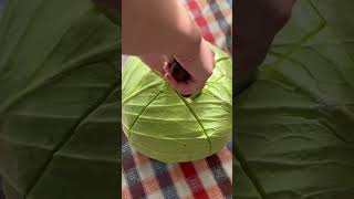 Pratik Lahana Kesimi | Lahana Nasıl Kesilir? | How to cut cabbage ? Zeytinyağlı Lahana Sarması #fyp