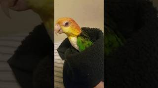 Getting Dried After Shower