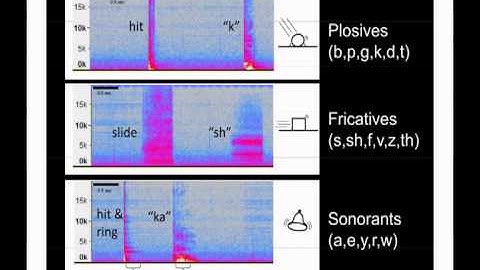 Mark Changizi, "The sounds of nature in speech and music", Nias/Lorentz Workshop on Core Knowledge