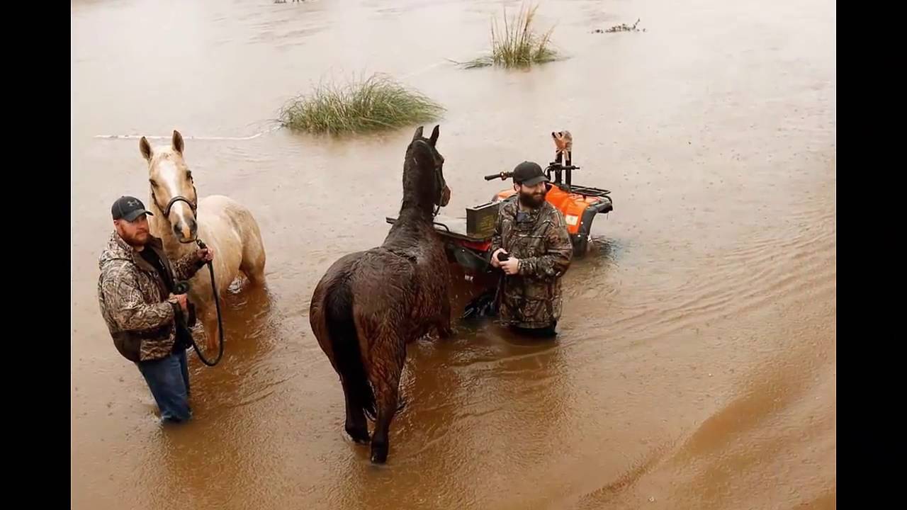 Road closures in louisiana flooding in louisiana YouTube