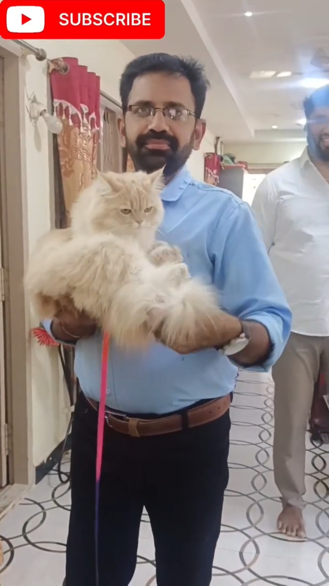 🐶🐱జంతు ప్రేమికులు🥰 - ShareChat