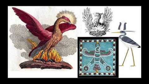 Module One: A ‘TRINITARIAN’ ANALYSIS IN THREE PERSPECTIVES