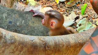 My Video 2