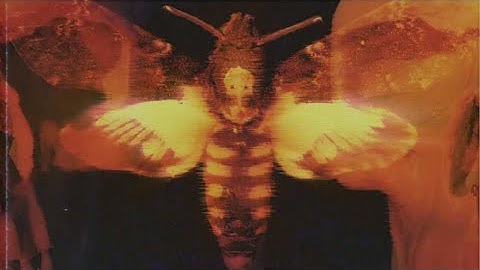 Will Jay  & Flawed Mangoes - Fatal Flaw