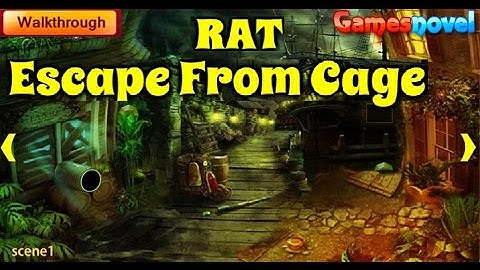 RAT Escape From Cage walkthrough GamesNovel..