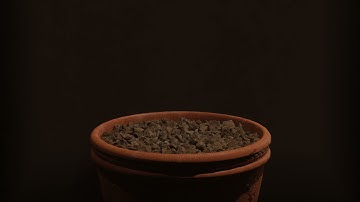 Plant Growth | Blender Geometry Nodes Animation Test