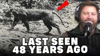 'Extinct' Tiger Rediscovered in Indonesia