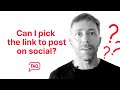 Can I manually pick a link for my products on Meta, Pinterest, Tumblr? - FAQ Nembol