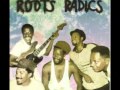 Miniature de la vidéo de la chanson Roots Radix Patrolling