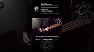 "Remember Me" by #thebirthdaymassacre #basscover #gothicrock #newwave #synthpop