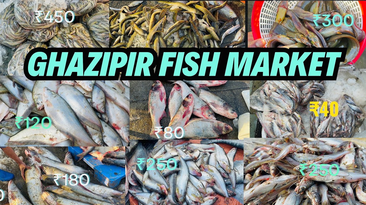 Ghazipur Fish Market Delhi ghazipur fish mandi ghazipur fish market