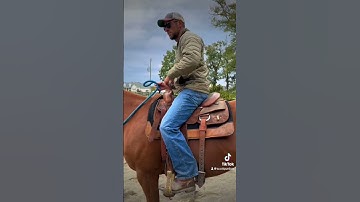 4 steps to improving your rising trot