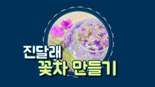 [봄꽃차]  진달래 꽃차만들기