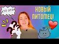 НОВЫЙ ПИТОМЕЦ! КОГО МЫ ЗАВЕЛИ?