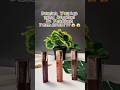 Produk Wardah yang Dipakai di Nikahan Para Artis-Wardah Glasting Liquid Lip #shortsfeed #lipstick