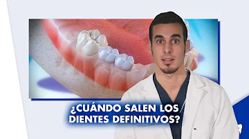 ¿Qué dientes son permanentes?