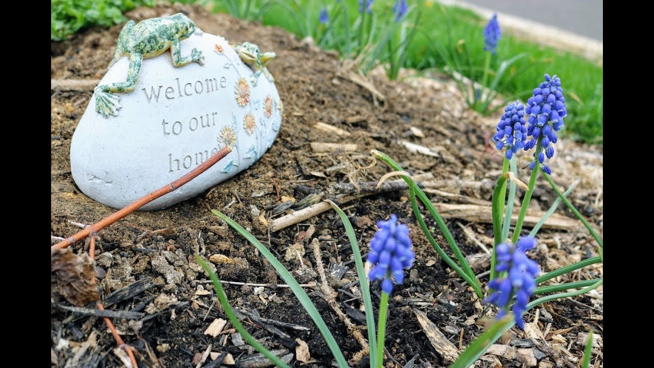 So Many BERRIES | Fruit Talk! w/ Ross Raddi -- EP: 26 - YouTube