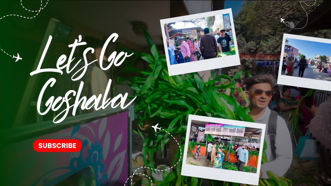 हम चले गए गाई को चारा खिलाने // hum chale gaye gai ko chara khilane