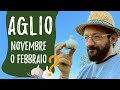 Piantare aglio! Novembre o gennaio?