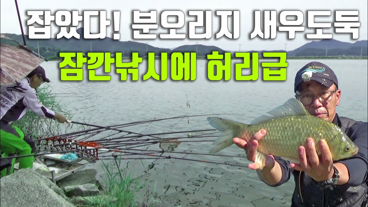 도둑처럼 생새우를 탐한 대어/ 잠깐낚시에 허리급 월척/ 붕어낚시