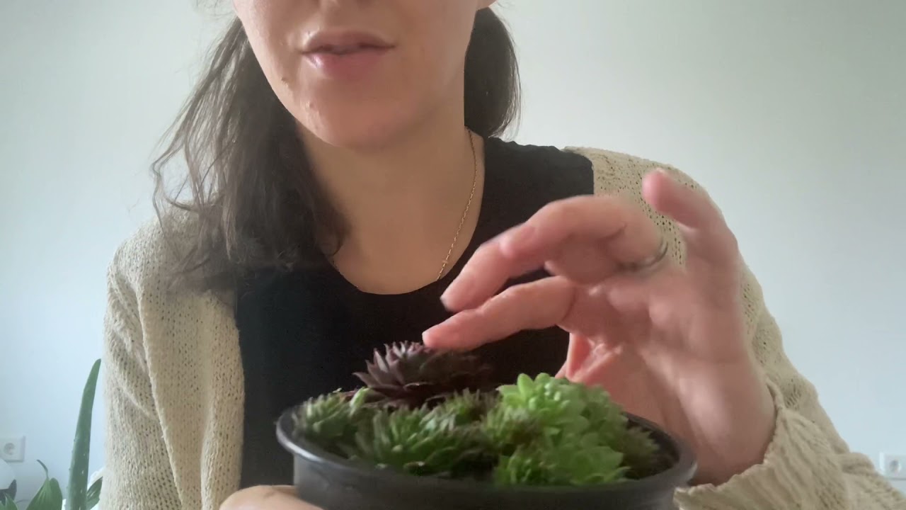 Asmr- IKEA haul 🪴🍶🙋‍♀️