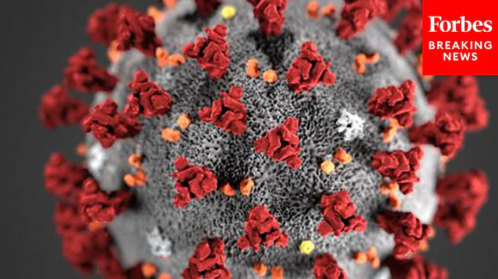 WHO Calls Omicron COVID-19 'Variant Of Concern' As Travel Restrictions Are Imposted, Stocks Drop