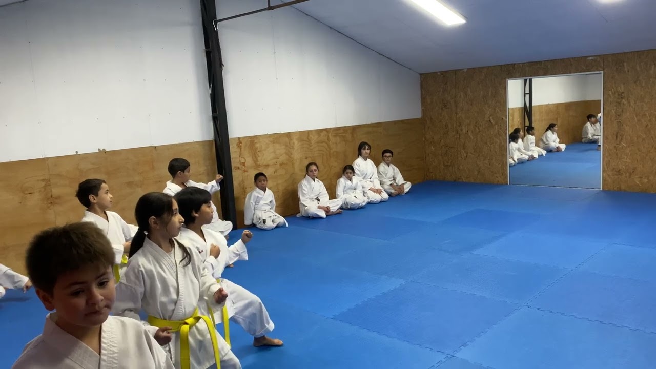 Examen para optar cinturón naranjo.