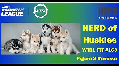 Zwift Racing League - TTT #163 Figure 8 Reverse